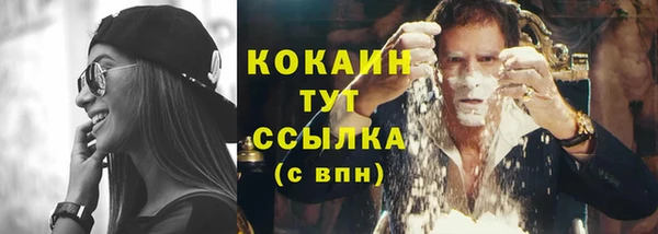сатива Билибино