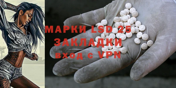 соль ск Бикин