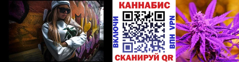 как найти наркотики  Кологрив  Каннабис индика 