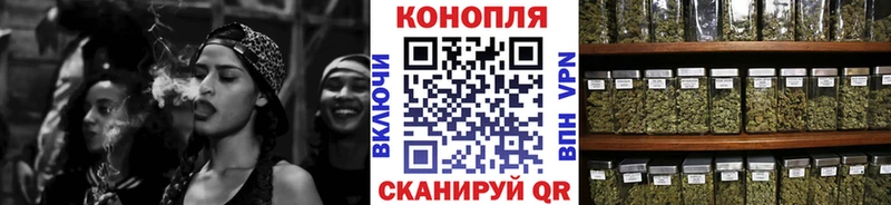 Конопля гибрид Кологрив